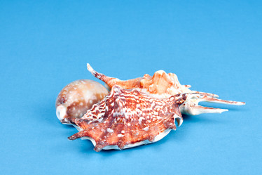 Similar image 2299907