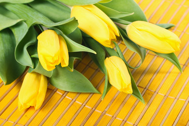 Similar image 2299933