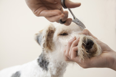 Similar image 2299946