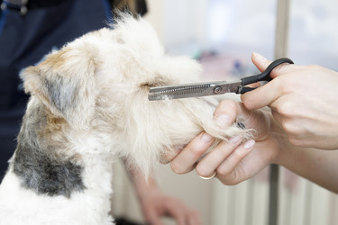 Similar image 2299955