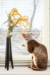 Similar image 2299959