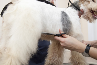 Similar image 2300109