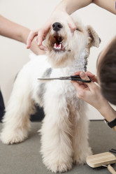 Similar image 2300115