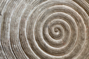 Similar image 2300232