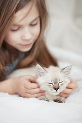 Similar image 2300636