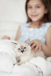 Similar image 2300638