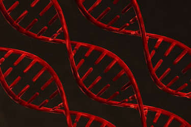 Similar image 2300769