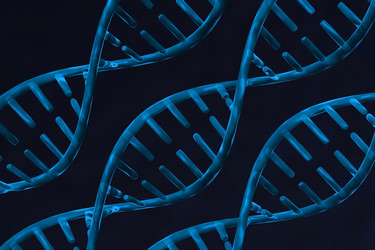 Similar image 2300771