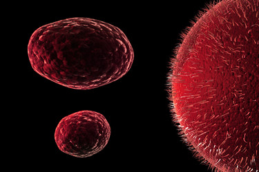 Similar image 2300810