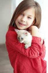 Similar image 2300832