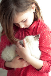 Similar image 2300835