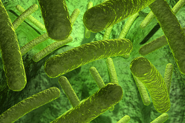 Similar image 2300904