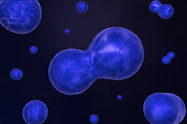 Similar image 2300958