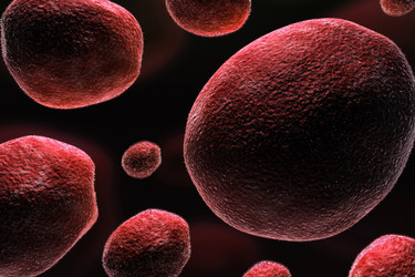 Similar image 2300979