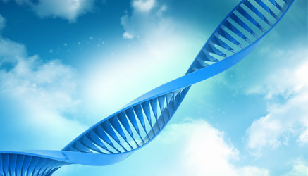 Similar image 2301115