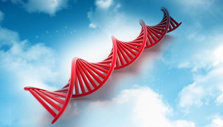 Similar image 2301121