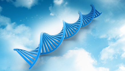 Similar image 2301124