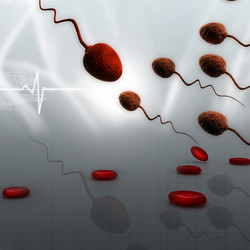 Similar image 2301128