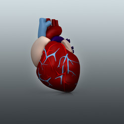 Similar image 2301137