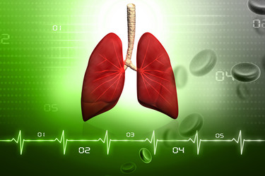 Similar image 2301139