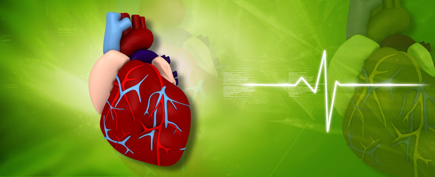 Similar image 2301155