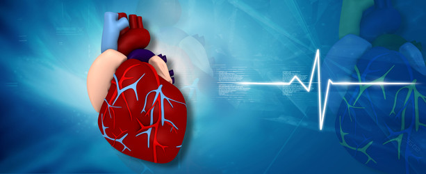 Similar image 2301158