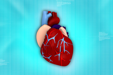 Similar image 2301162