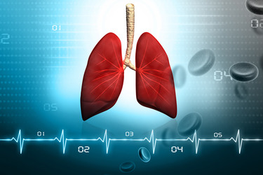 Similar image 2301164