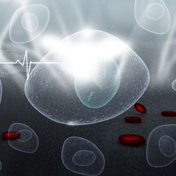 Similar image 2301167