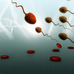 Similar image 2301170