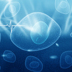 Similar image 2301171