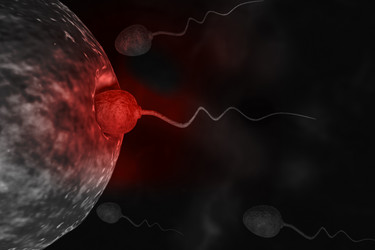 Similar image 2301183