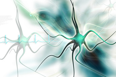 Similar image 2301235