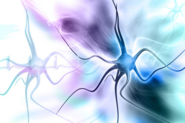 Similar image 2301244