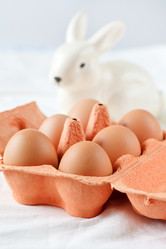 Similar image 2301292