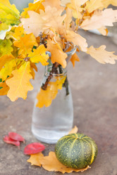 Similar image 2301339