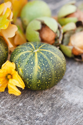 Similar image 2301341