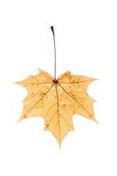 Similar image 2301364