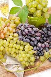 Similar image 2301399