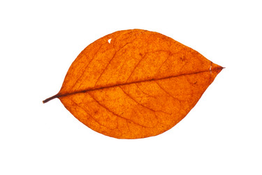 Similar image 2301402