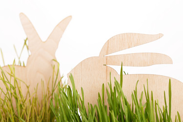 Similar image 2301416