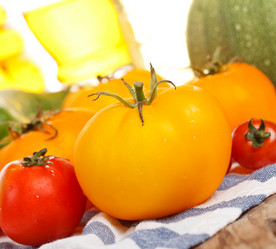 Similar image 2301418