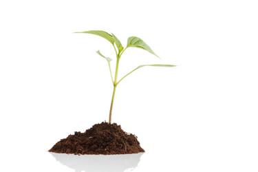 Similar image 2301428