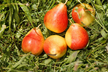 Similar image 2301464