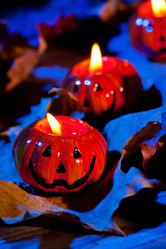 Similar image 2301482