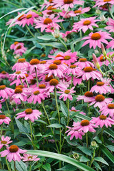 Similar image 2301503