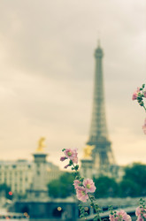 Similar image 2301517