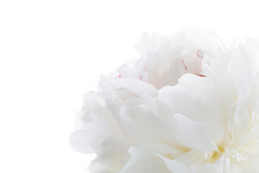 Similar image 2301518