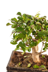 Similar image 2301584