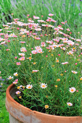 Similar image 2301605